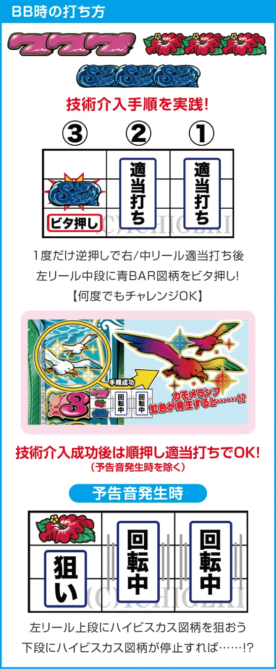 ニューシオサイのスペック