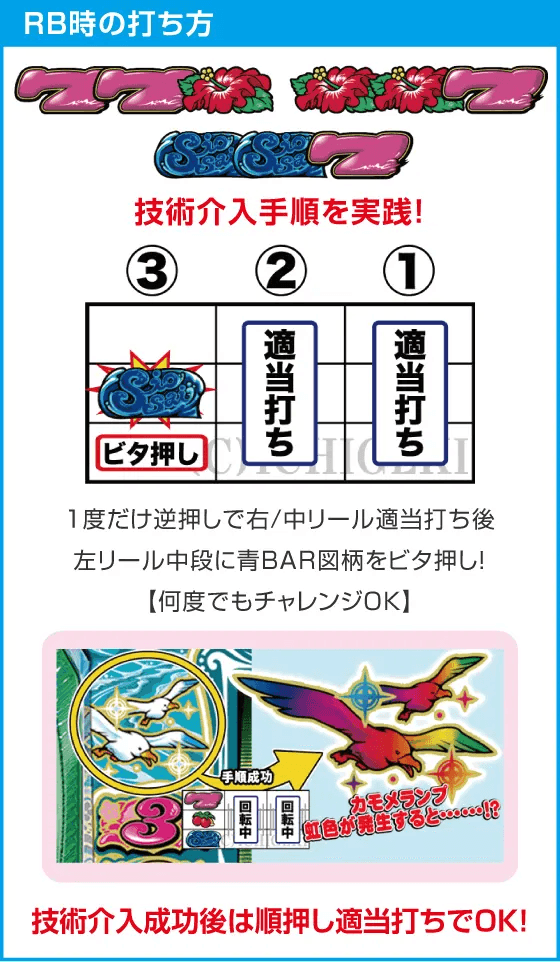 ニューシオサイのスペック