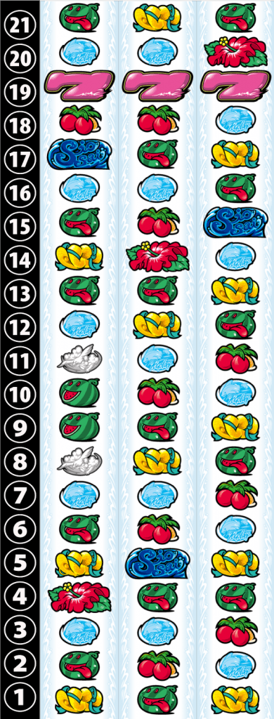 ニューシオサイのリール