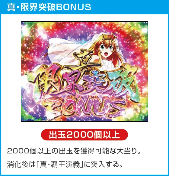 P真・一騎当千 Light Ver.のスペック