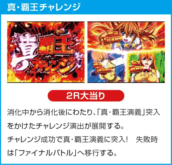 P真・一騎当千 Light Ver.のスペック