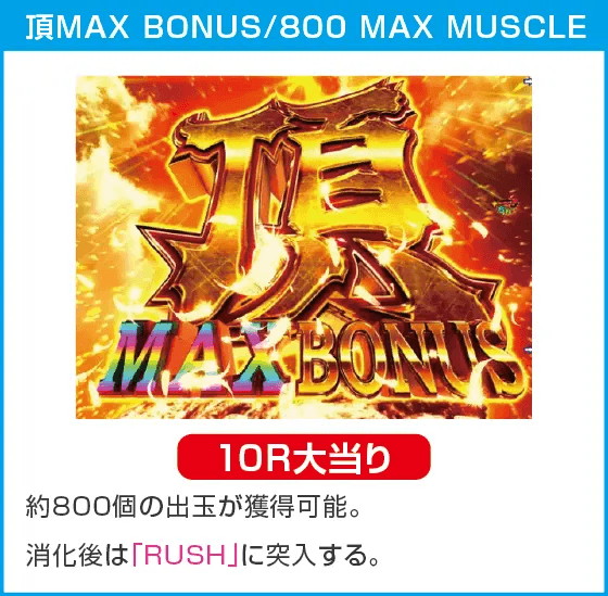 PAフィーバーダンベル何キロ持てる?のスペック