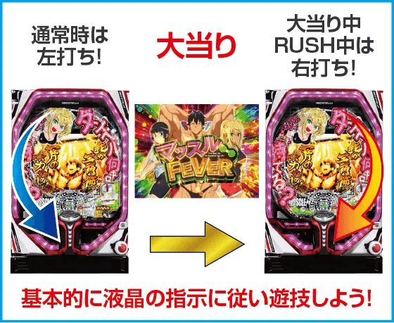 PAフィーバーダンベル何キロ持てる?のスペック