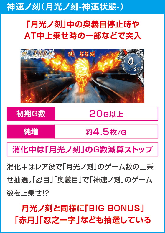 忍魂参 ~奥義皆伝ノ章~