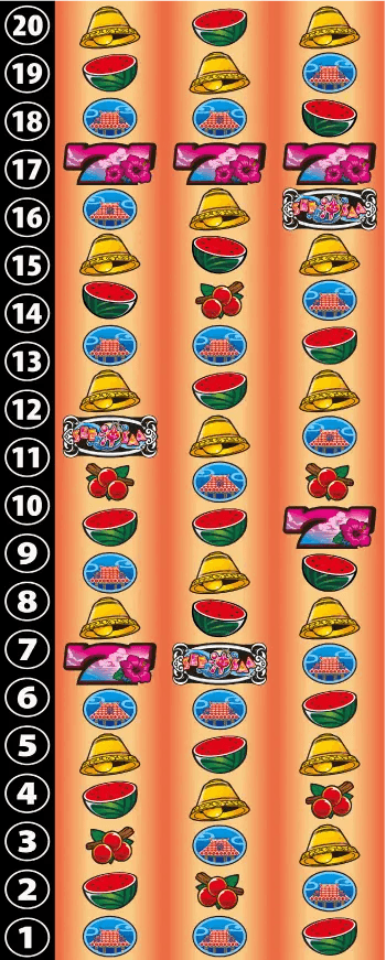 沖シーサー -30のリール