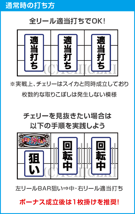 沖シーサー -30のスペック