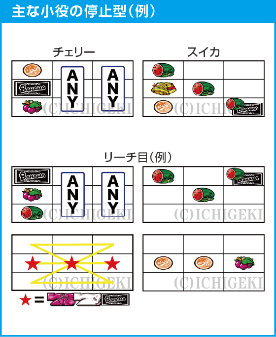 Sバハマ30のスペック