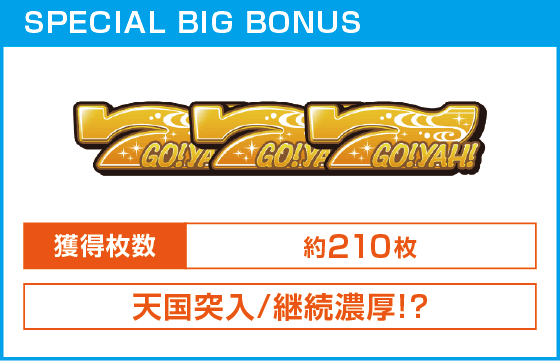 S ご～やちゃんぷる～25φ