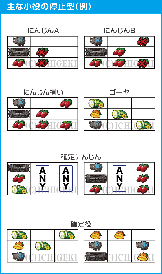 S ご～やちゃんぷる～25φのスペック