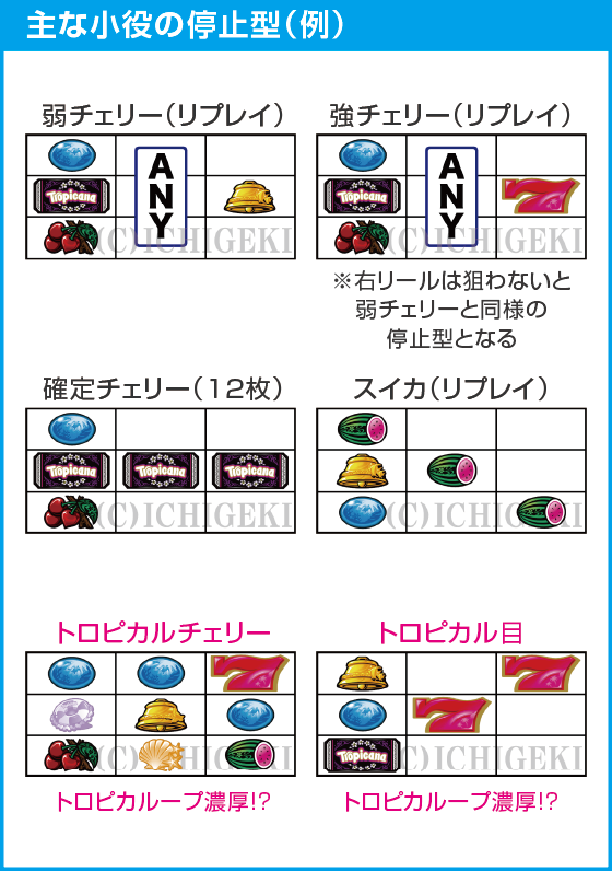 スマスロ トロピカーナのスペック