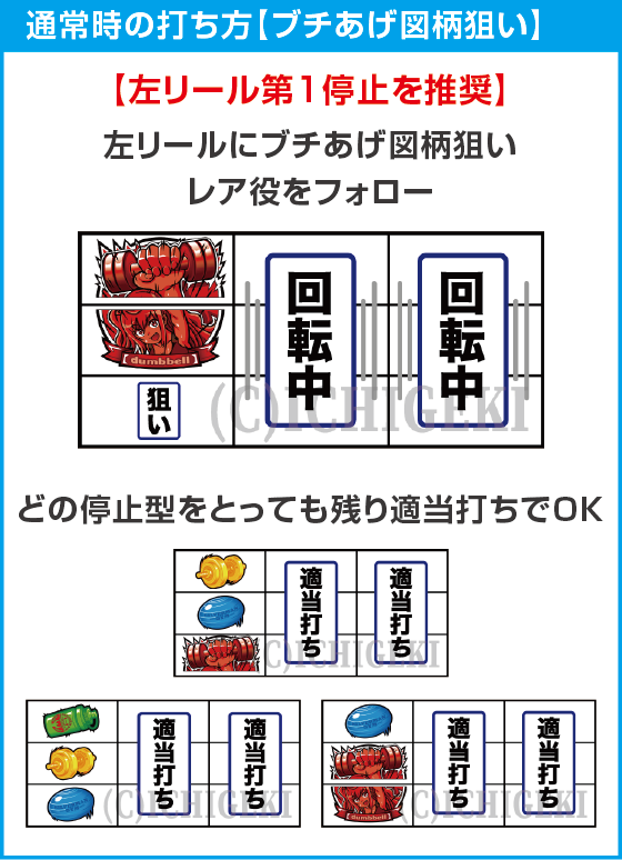 Lパチスロ ダンベル何キロ持てる？のスペック