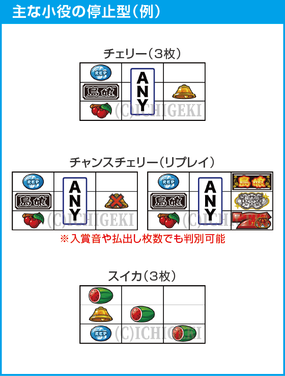 L島娘のスペック