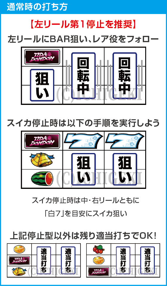てぃだどんどんのスペック