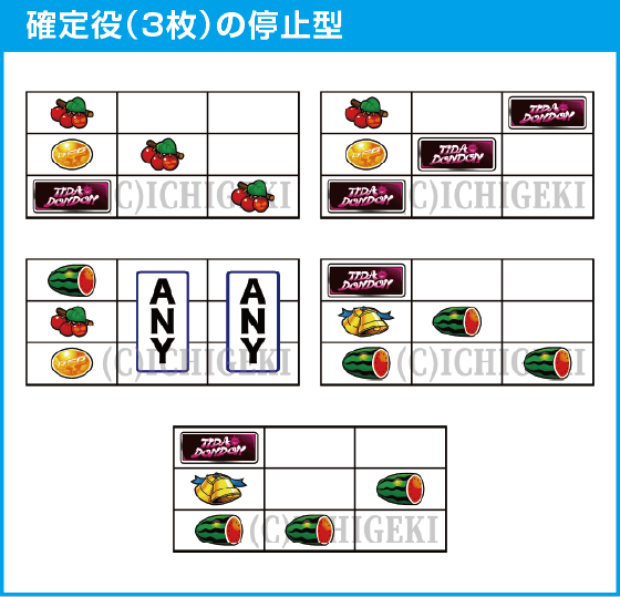 てぃだどんどんのスペック