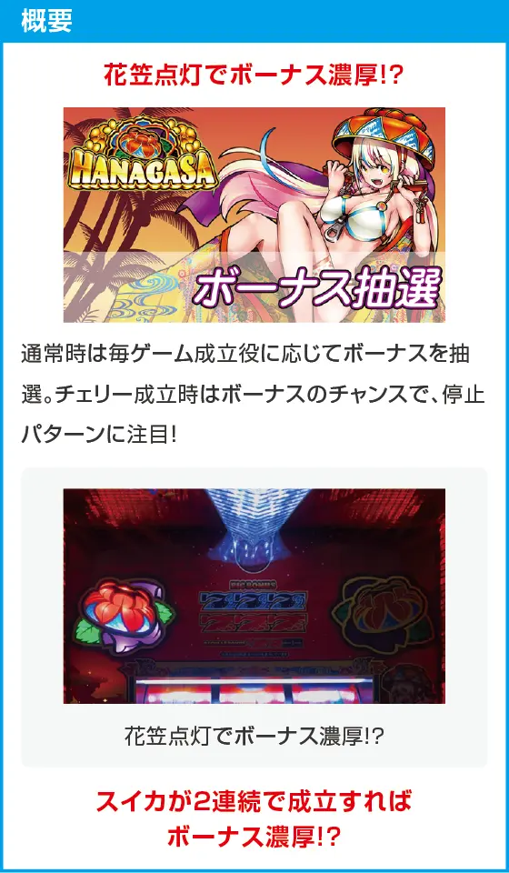 花笠のスペック