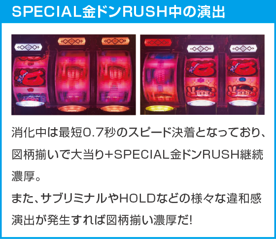 Pドラムだ!金ドン 花火外伝99ver.のスペック