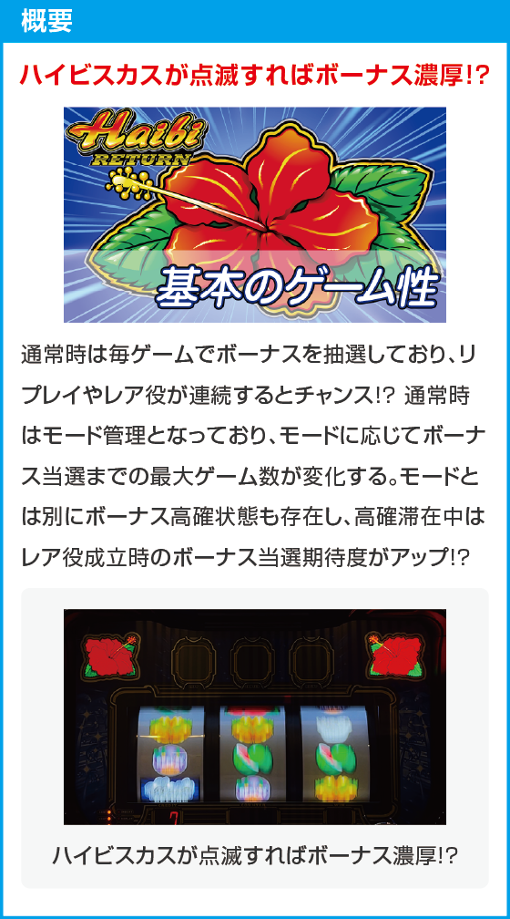 ハイビリターン-30のスペック