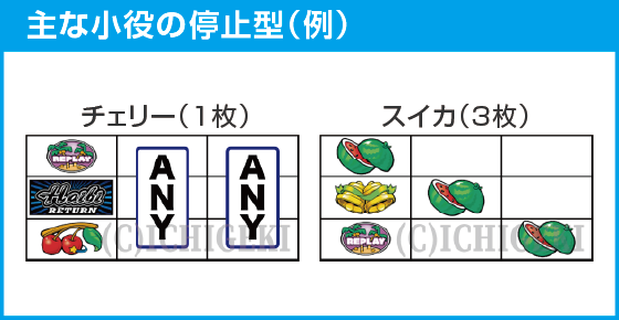 ハイビリターン-30のスペック