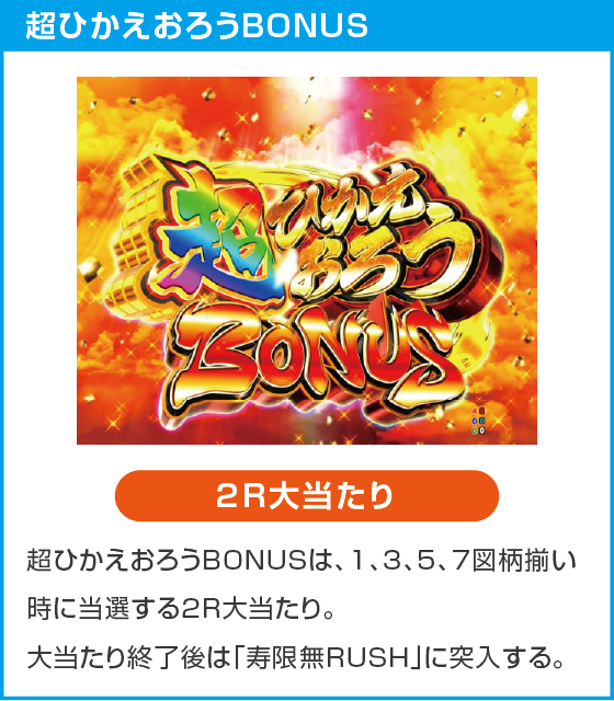 e黄門ちゃま 寿限無LLサイズのスペック