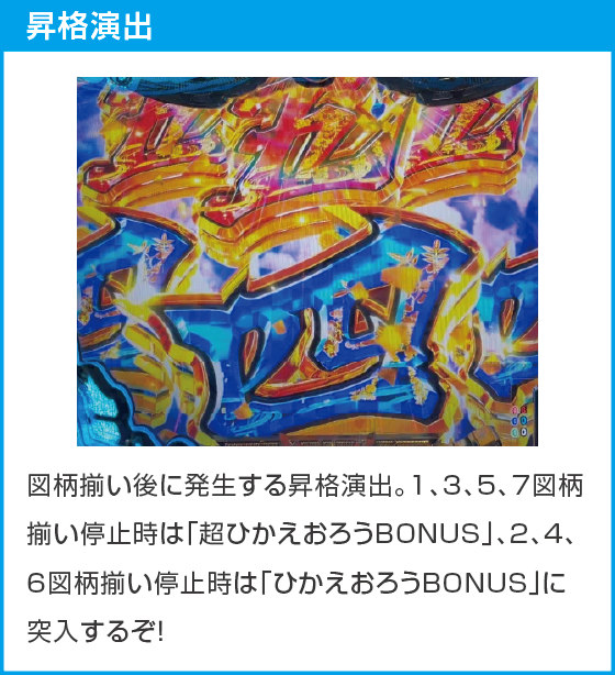 e黄門ちゃま 寿限無LLサイズのスペック