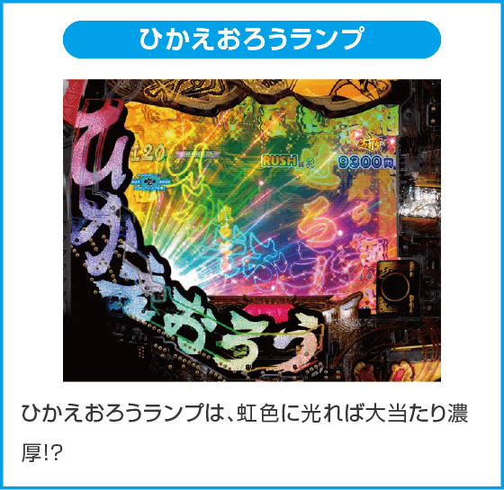 e黄門ちゃま 寿限無LLサイズのスペック