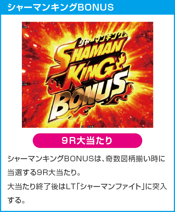 eシャーマンキングのスペック