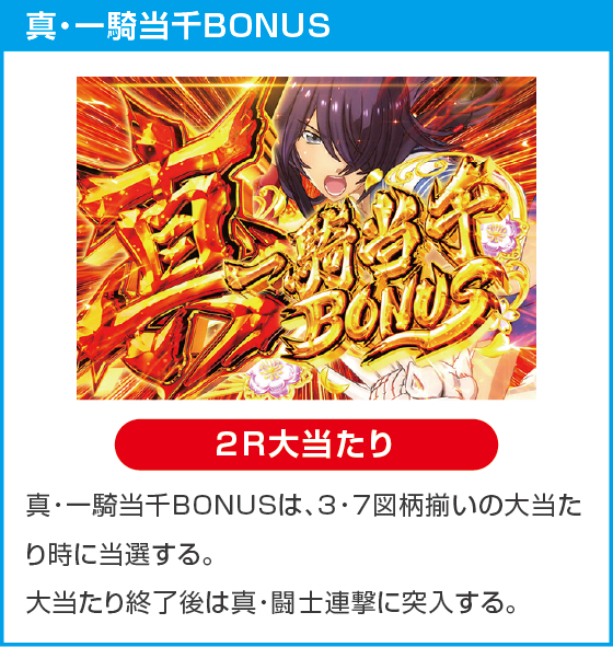 e真・一騎当千～軍神覚醒～319大入りver.のスペック