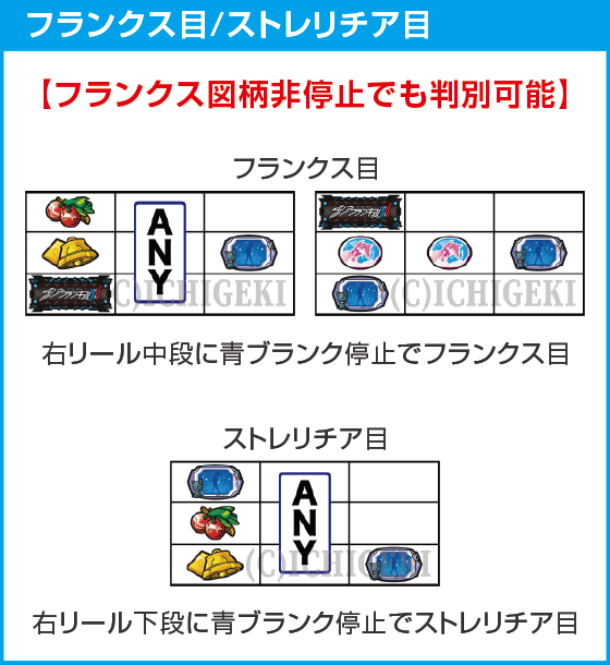 Ｌ ダーリン・イン・ザ・フランキスのスペック