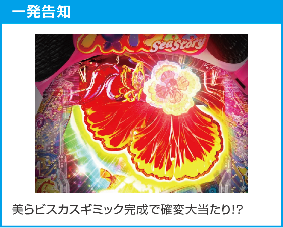 Pスーパー海物語IN沖縄6のスペック