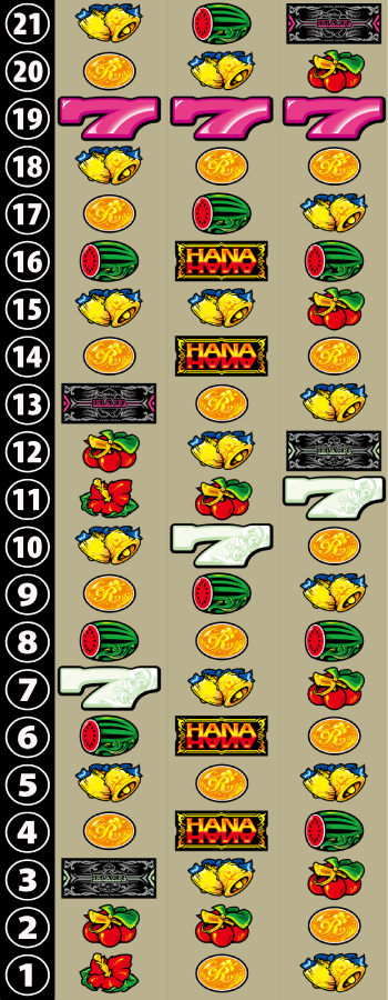 ニューキングハナハナV-30のリール画像