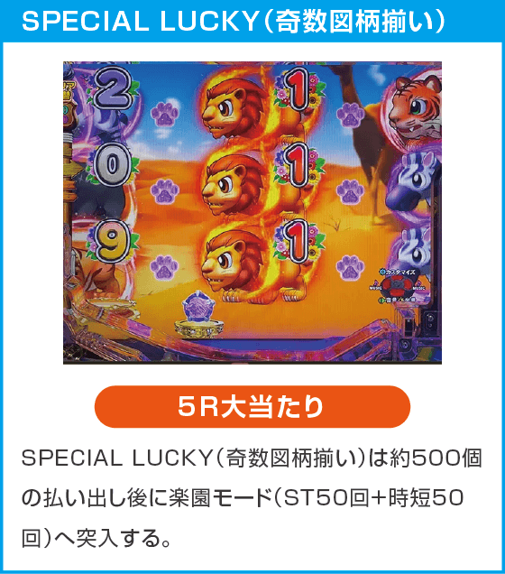 PA野生の王国Ⅵのスペック