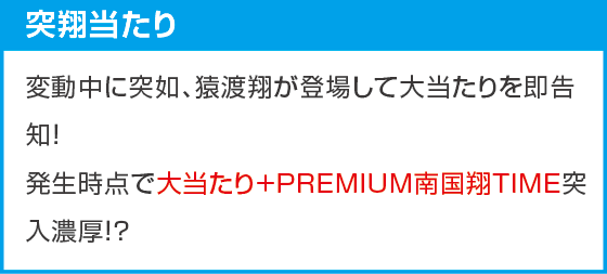 P【超甘LT】華牌RR 1/49×99de遊タイムのスペック