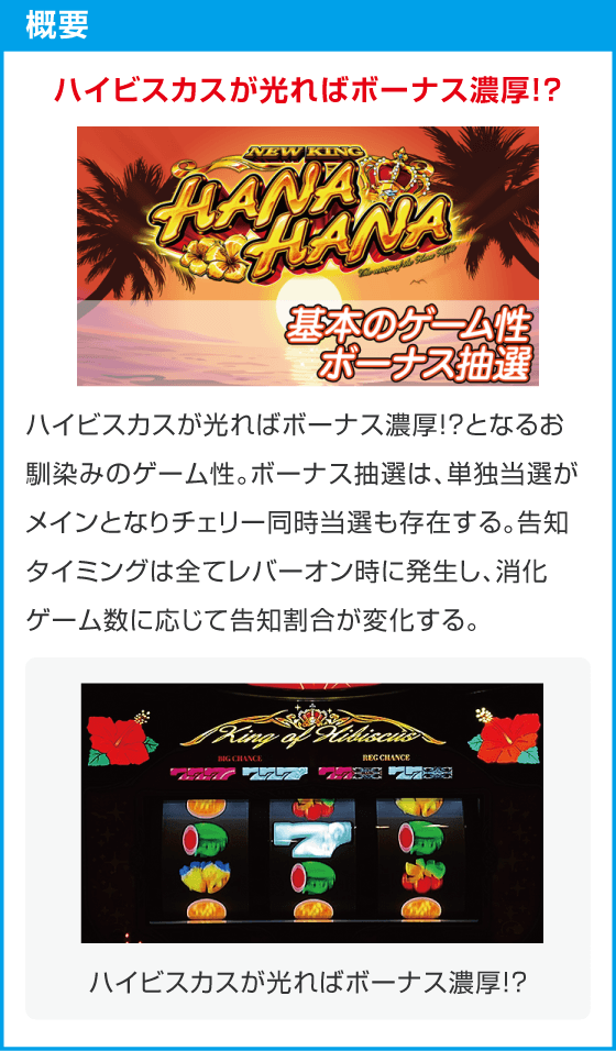 ニューキングハナハナV-30