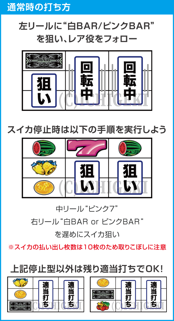 スマート沖スロ　ニューキングハナハナVのスペック