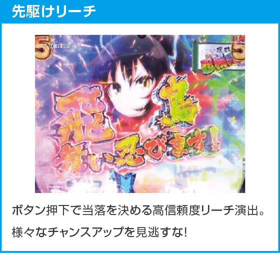 P閃乱カグラ 189大入りver.のスペック