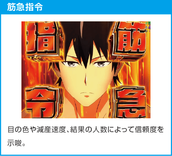 eフィーバーダンベル何キロ持てる？2のスペック