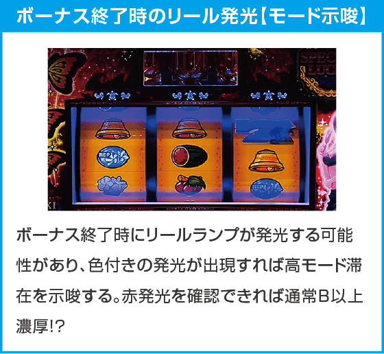 L南国育ち SPECIAL