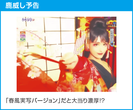 P 春一番 2026のスペック
