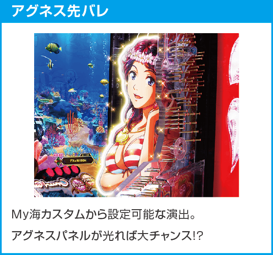 PA大海物語Withアグネス・ラム Premium Editionのスペック