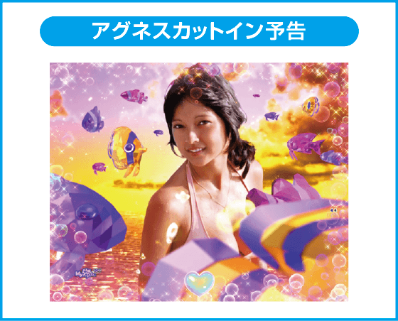 PA大海物語Withアグネス・ラム Premium Editionのスペック