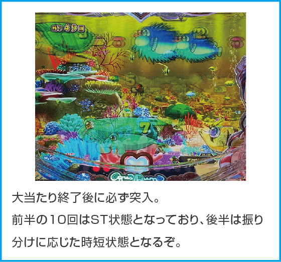 PA大海物語Withアグネス・ラム Premium Editionのスペック