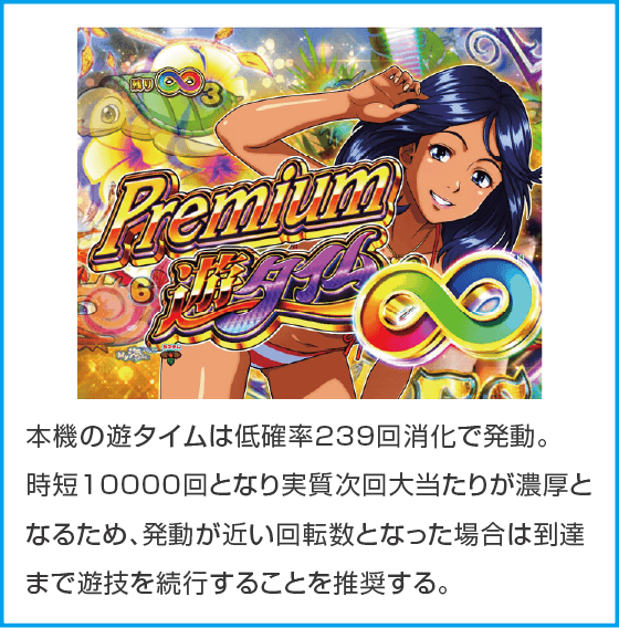 PA大海物語Withアグネス・ラム Premium Editionのスペック